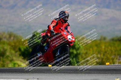 media/Mar-25-2024-Moto Forza (Mon) [[8d4319bd68]]/4-Novice Group/Session 2 (Turn 9 Entry)/